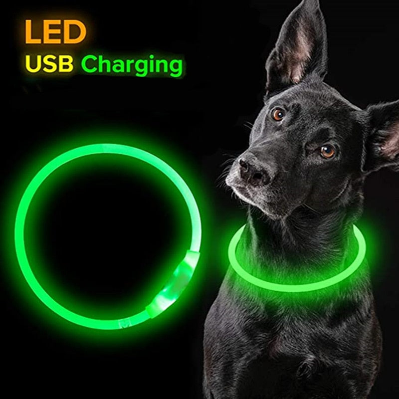 Led Light Dog Collar Detachable Glowing USB Charging Luminous Leash for Big Cat Collar Small Bright Labrador  Pets Dogs Products