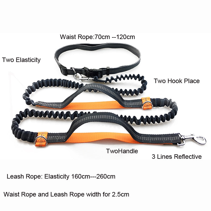 Pet Dog Running Leash Rope 2 Hand Control Dog Joging Walking Leash with Reflective Hands Free Pets Double Elasticity Collar Rope