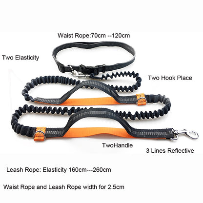 Pet Dog Running Leash Rope 2 Hand Control Dog Joging Walking Leash with Reflective Hands Free Pets Double Elasticity Collar Rope